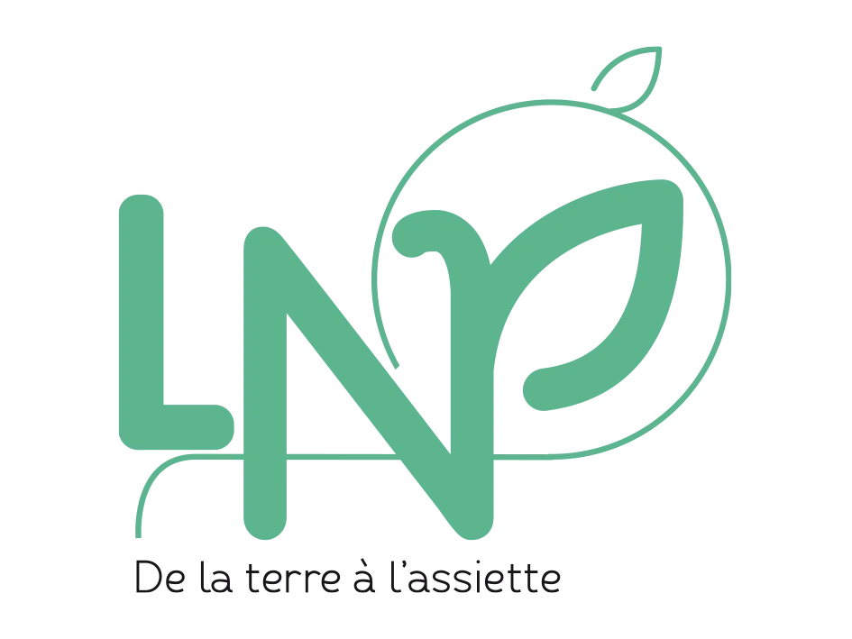Logo LNP Conseil